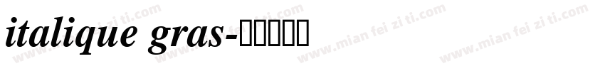 italique gras字体转换